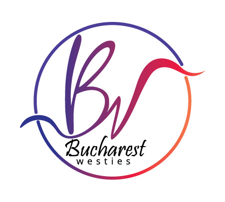 Instagram Bucharest Westies